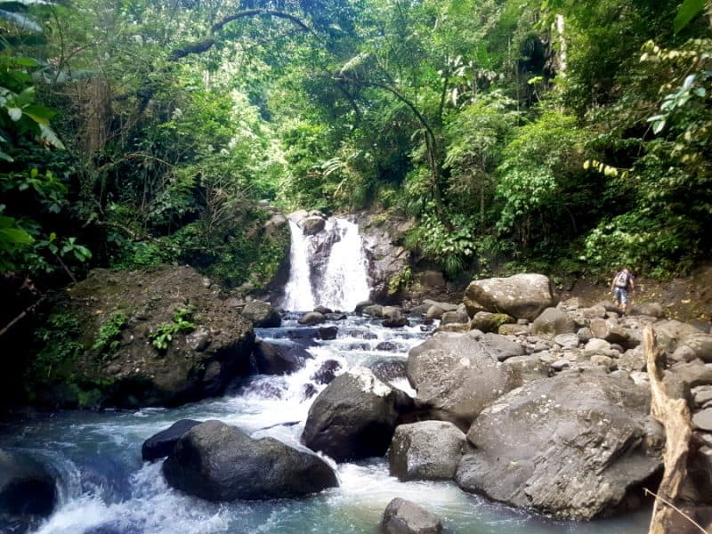 Looking for the hidden waterfall in Martinique